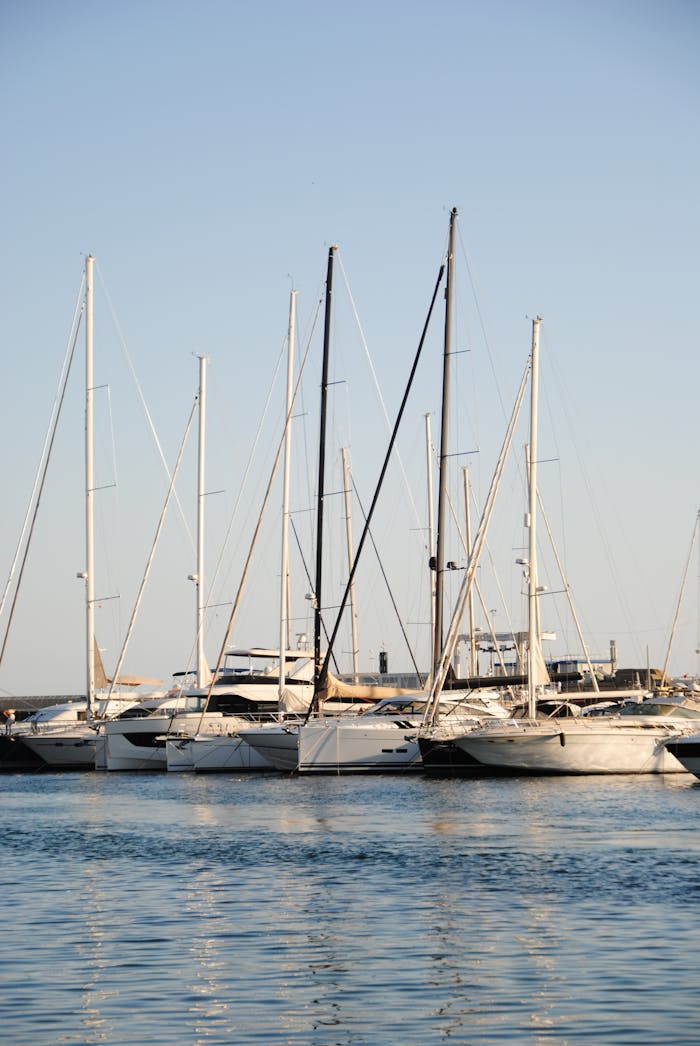 A serene view of luxury yachts lined up in the Cannes marina, Provence-Alpes-Côte d'Azur.